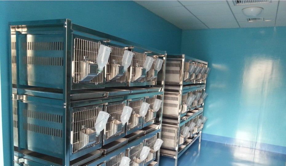 西安spf級實驗動物房設(shè)計建設(shè)